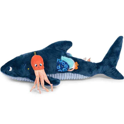 Grand requin d'activités Les aventures de Paulie