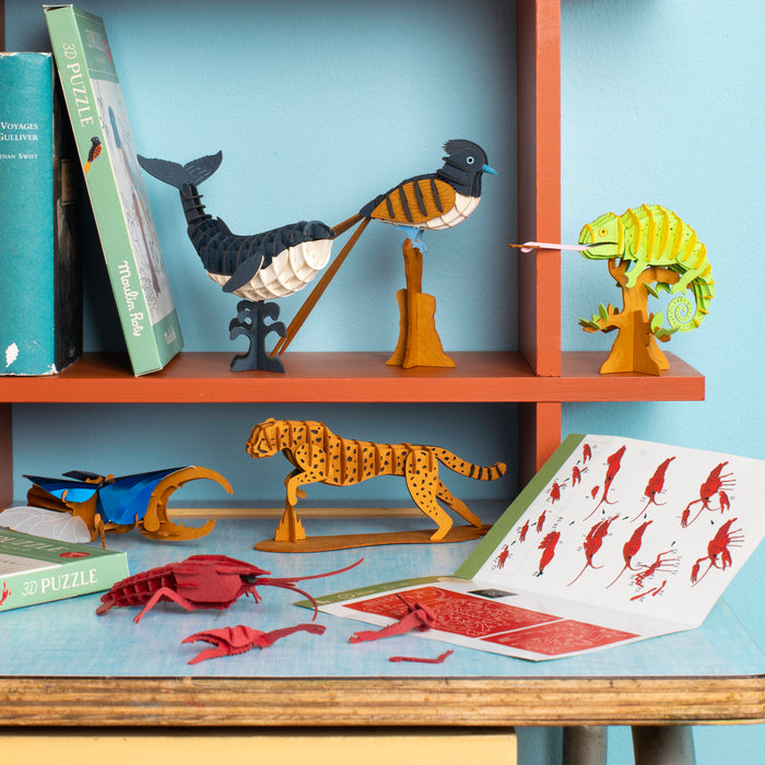 Puzzle 3D Ecrevisse Tout autour du monde
