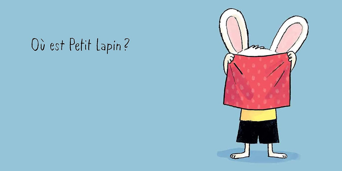 Livre On joue, Petit lapin !