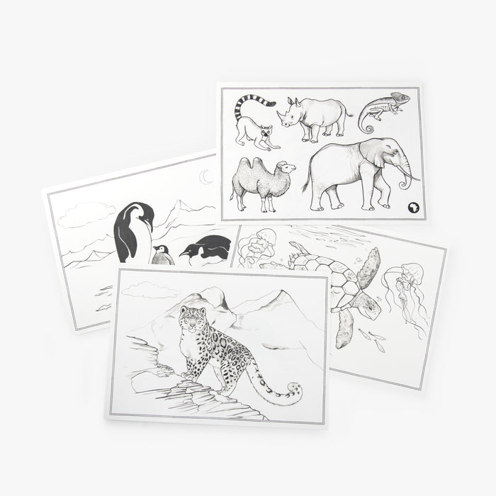 24 modèles de dessin Kidywolf Tout autour du monde