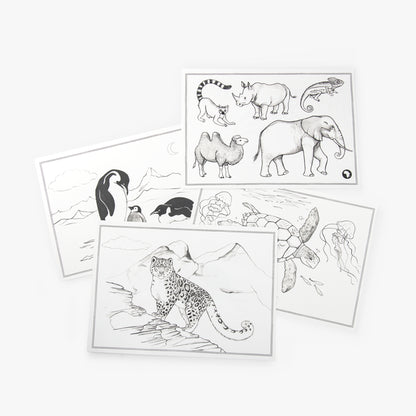 24 modèles de dessin Kidywolf Tout autour du monde
