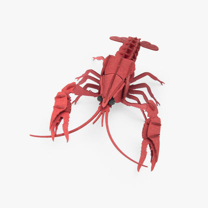 Puzzle 3D Ecrevisse Tout autour du monde