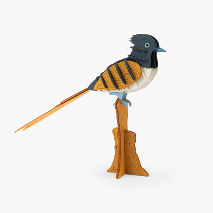 Puzzle 3D Gobe-mouche de paradis Tout autour du monde