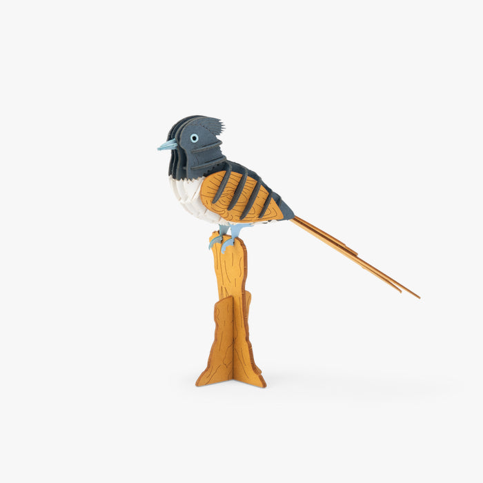 Puzzle 3D Gobe-mouche de paradis Tout autour du monde