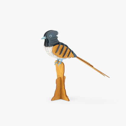 Puzzle 3D Gobe-mouche de paradis Tout autour du monde
