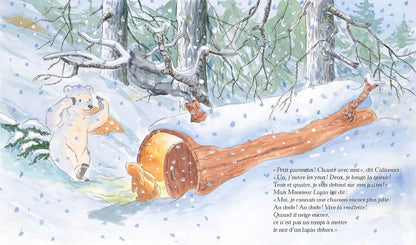 Livre Calinours se réveille