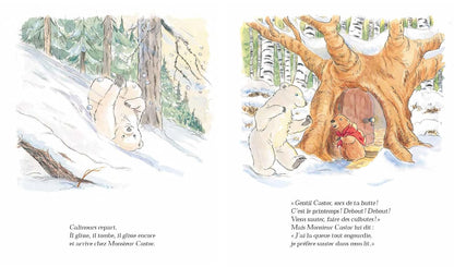 Livre Calinours se réveille