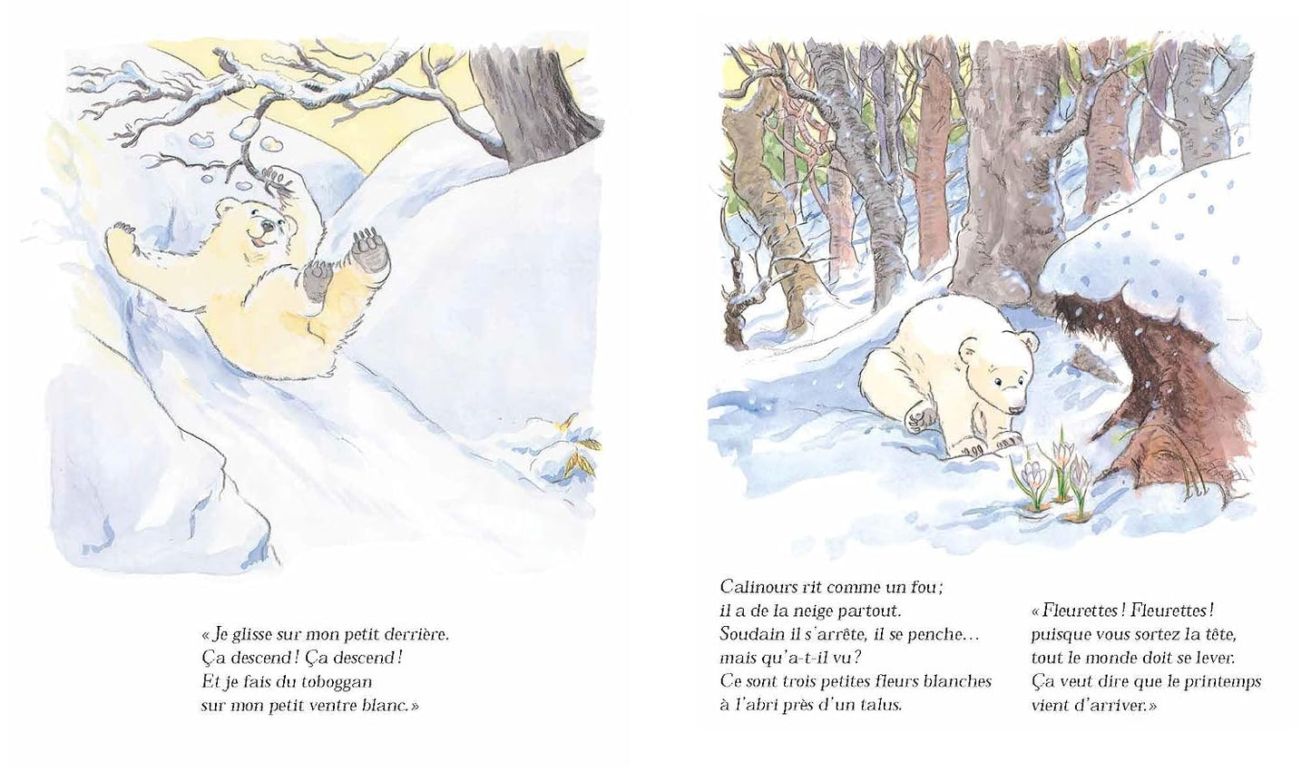 Livre Calinours se réveille