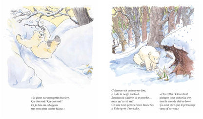Livre Calinours se réveille
