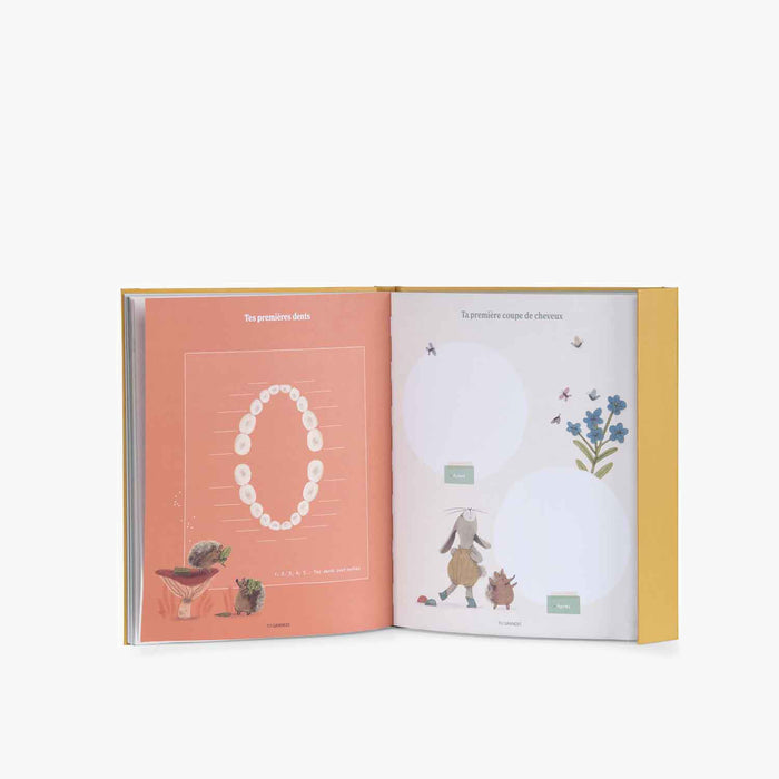 Livre de naissance Trois petits lapins