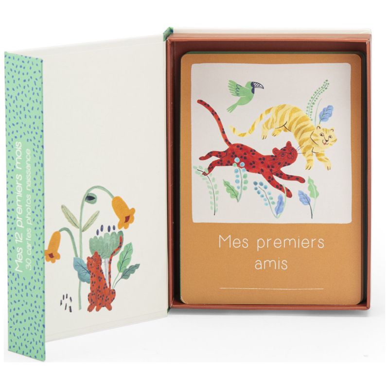 Cartes Mes 12 premiers mois La forêt Mawa