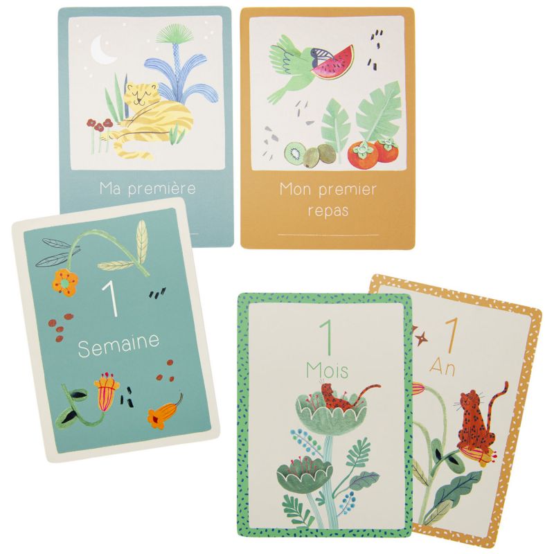 Cartes Mes 12 premiers mois La forêt Mawa