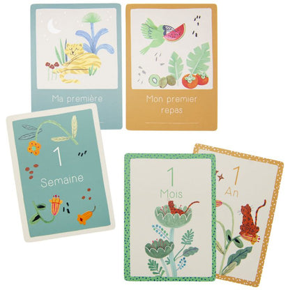 Cartes Mes 12 premiers mois La forêt Mawa