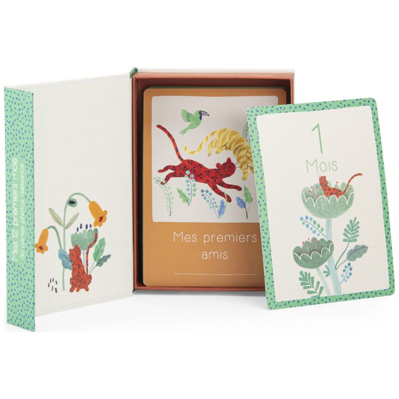 Cartes Mes 12 premiers mois La forêt Mawa