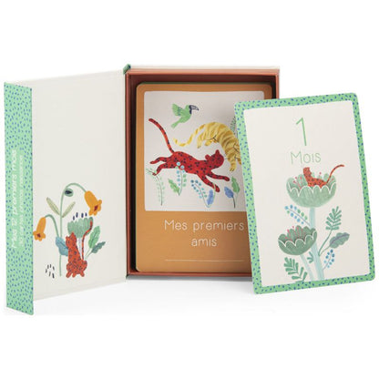 Cartes Mes 12 premiers mois La forêt Mawa