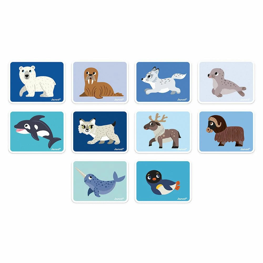 Magnéti'book Animaux polaires