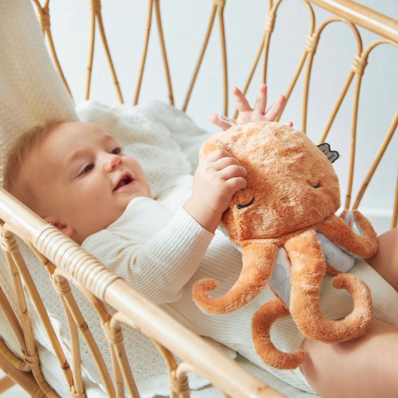 Peluche bouillote chaud et froid poulpe