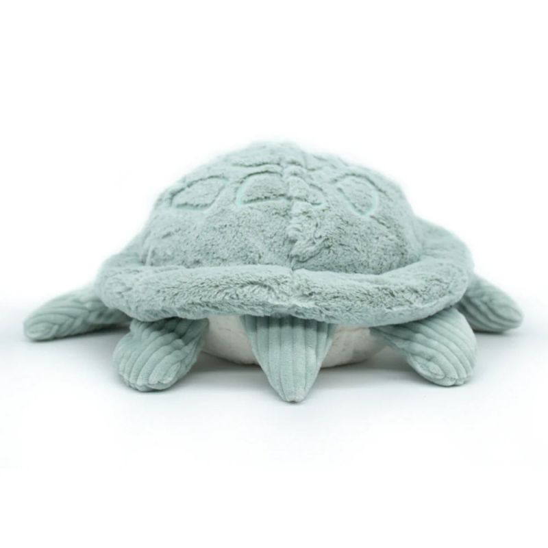 Ptipotos Tortue géante maman bébé menthe